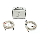 Thor's Lightning Rapid 4-Tire Air System with silver Thor's Hammer manifold